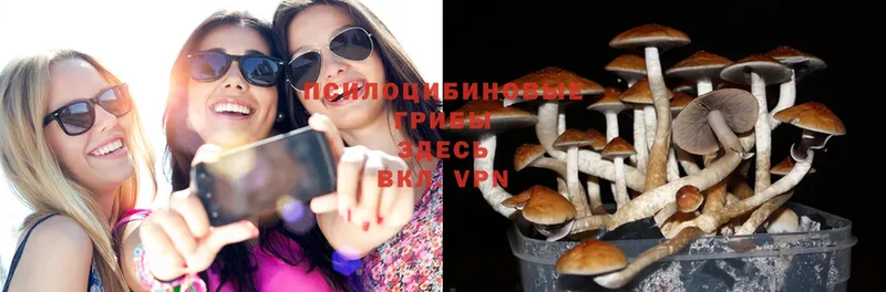 Галлюциногенные грибы ЛСД  сколько стоит  Аркадак 